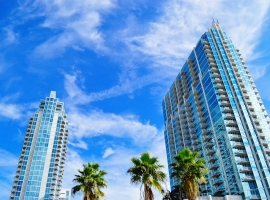 green palm trees near high rise buildings under blue sky during daytime