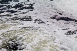 water, sewage, pollution, plum, ecology, factory, nature, river, cleaning, sewage, sewage, sewage, sewage, sewage