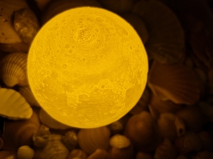 moon, lamp, night lamp, light, shells, 3d printing, atmosphere, artistic, dark, night, composition, 3d printing, 3d printing, 3d printing, 3d printing, 3d printing