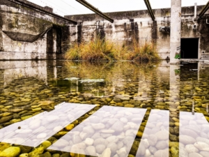 switzerland, water, sewage treatment plant, out of order, clarifiers, wastewater treatment, attisholz, light, reflection, wastewater treatment, nature, wastewater treatment, wastewater treatment, wastewater treatment, wastewater treatment