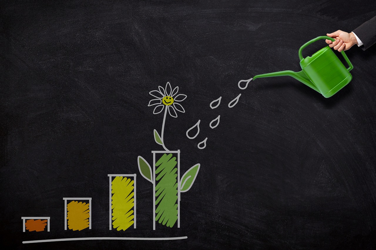 investment, growth, nature, watering, can, money, finance, business, wealth, profit, savings, increase, plant, investment, investment, investment, investment, investment, increase, increase