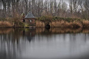 sewage treatment plant, river, reflection, trees, forest, building, reeds, foliage, industry, clarifier, water, nature, landscape