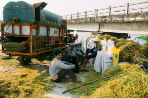 Farmers resting by a rice thresher, under a bridge, amid harvest season.